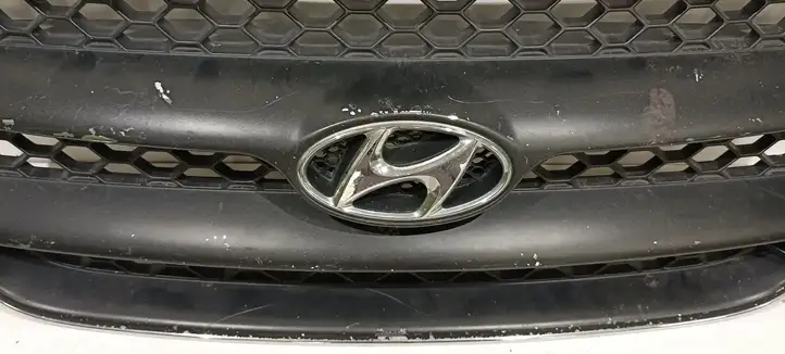 Hyundai Santa Fe (2005 - 2009) E865612B000 Верхняя решетка радиатора — фото 2