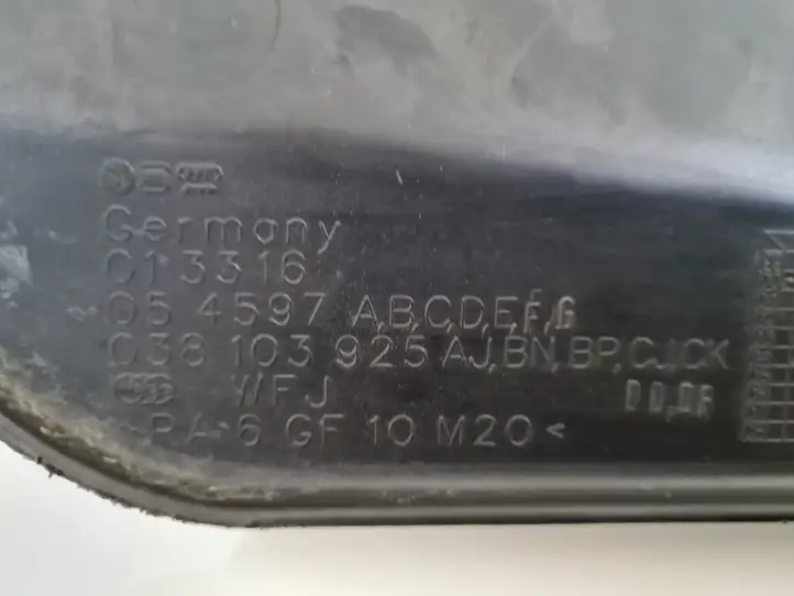 Volkswagen Golf IV (1998 - 2005) 038103925AJ Крышка двигателя декоративная — фото 3