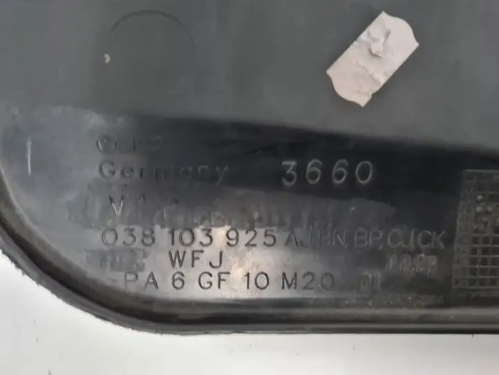 Volkswagen Golf IV (1998 - 2005) 038103925AJ Крышка двигателя декоративная — фото 3
