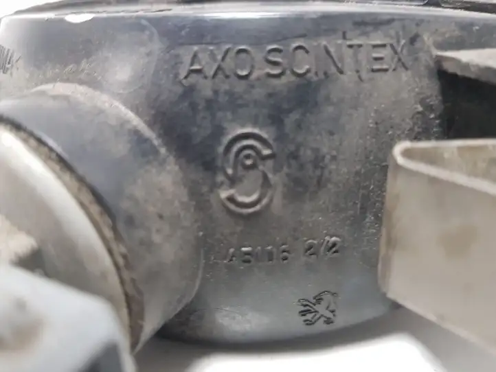 Peugeot 206 (1998 - 2012) 4510622 Задняя противотуманная фара — фото 3