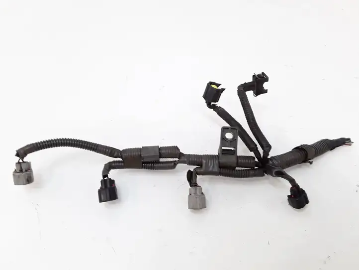 Toyota Corolla Verso AR10 (2004 - 2009) Проводка топливных форсунок — фото 1