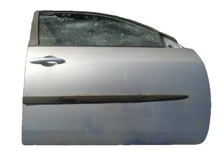 Nissan Primera (2001 - 2008) pilkos Дверь — фото 1