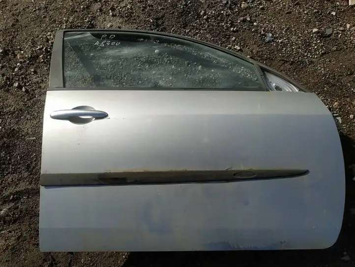 Nissan Primera (2001 - 2008) pilkos Дверь — фото 2