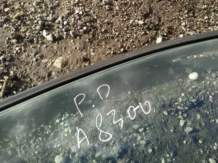 Nissan Primera (2001 - 2008) pilkos Дверь — фото 3