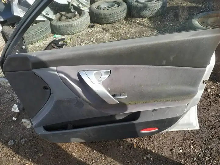 Nissan Primera (2001 - 2008) pilkos Дверь — фото 4
