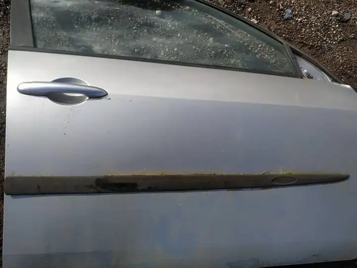 Nissan Primera (2001 - 2008) Молдинг передней двери — фото 1
