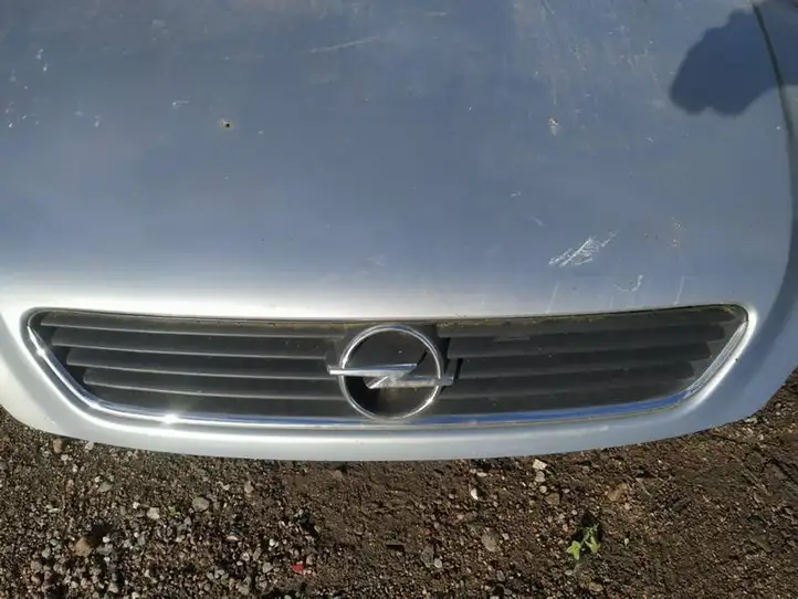 Opel Astra G (1998 - 2004) Передняя решетка — фото 2