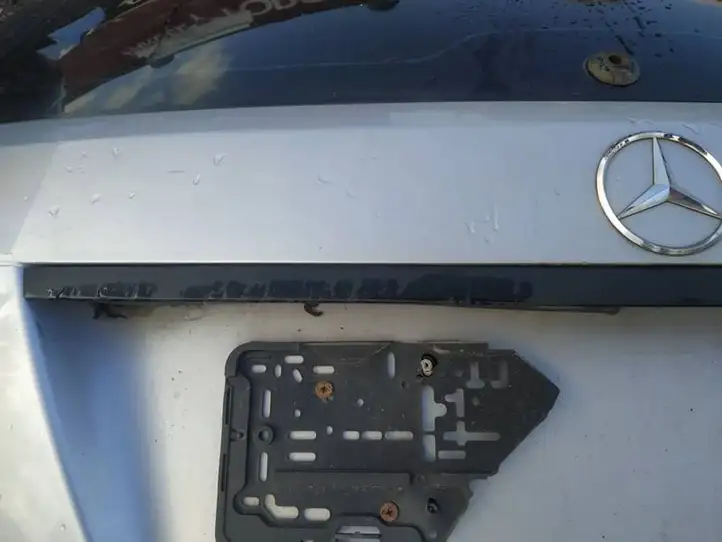 Mercedes-Benz C W204 (2007 - 2014) Подсветка номера — фото 2