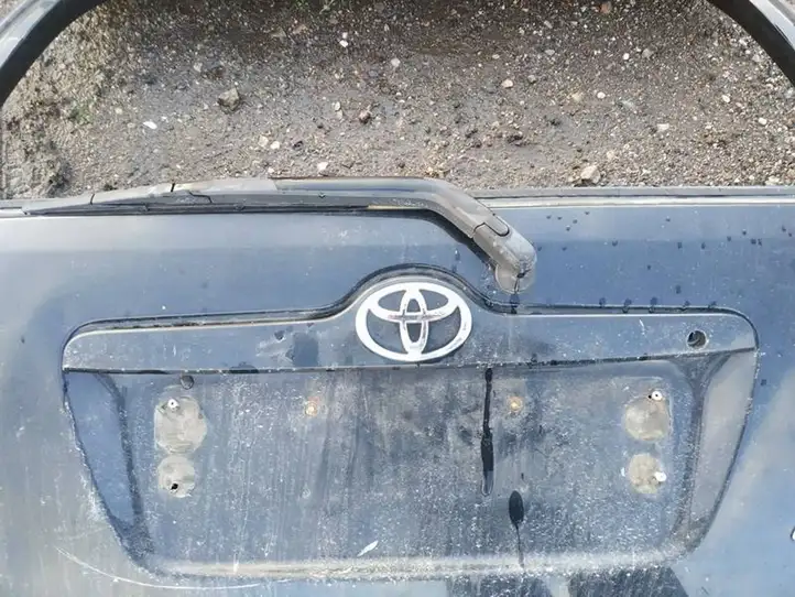 Toyota Corolla E120 E130 (2000 - 2004) Подсветка номера — фото 1