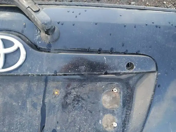 Toyota Corolla E120 E130 (2000 - 2004) Подсветка номера — фото 3