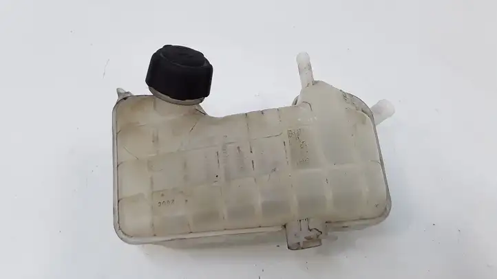 Renault Megane II (2002 - 2005) 8200262036 Расширительный бачок — фото 1