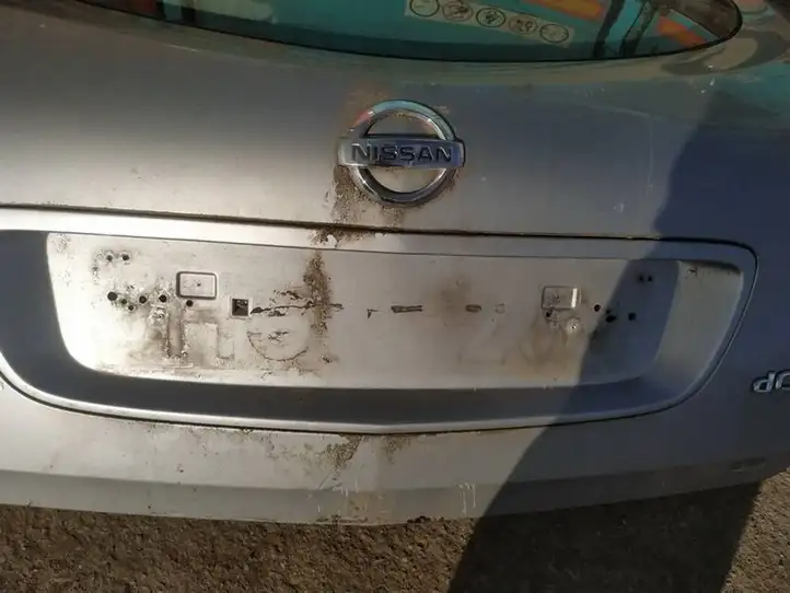 Nissan Primera (2001 - 2008) Подсветка номера — фото 1