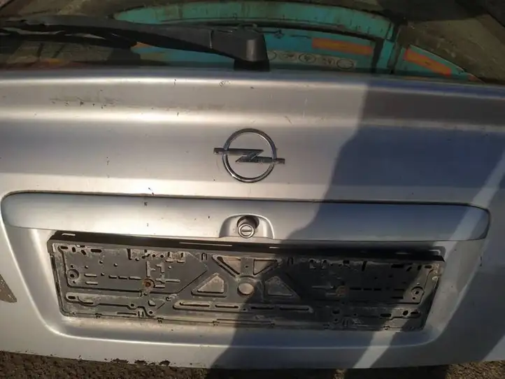 Opel Astra G (1998 - 2004) Подсветка номера — фото 1