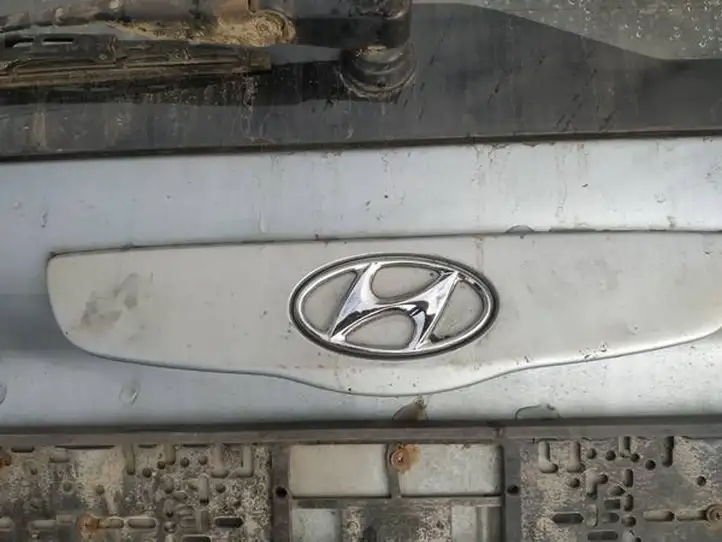 Hyundai Getz (2002 - 2005) Подсветка номера — фото 1