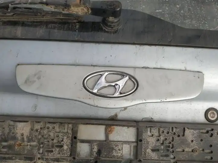 Hyundai Getz (2002 - 2005) Подсветка номера — фото 2