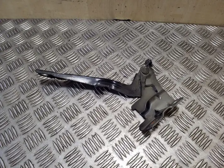 Kia Sorento (2009 - 2014)   Петля (петли) капота