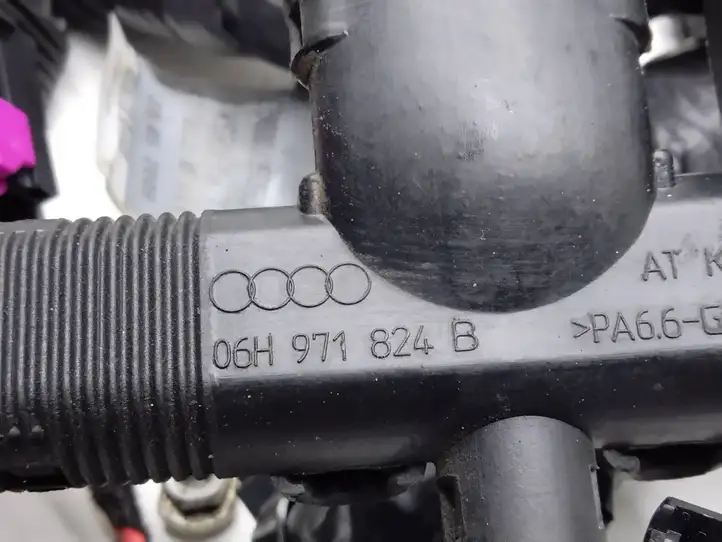 Audi A4 S4 B8 8K (2007 - 2011) 06H971824B Проводка двигателя — фото 6