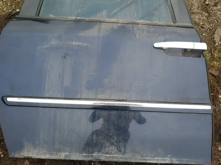 Lancia Phedra (2002 - 2010) Молдинги задней двери — фото 1