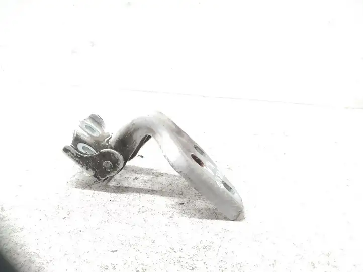 Fiat Ducato (2007 - 2014) Нижняя петля передней двери — фото 3
