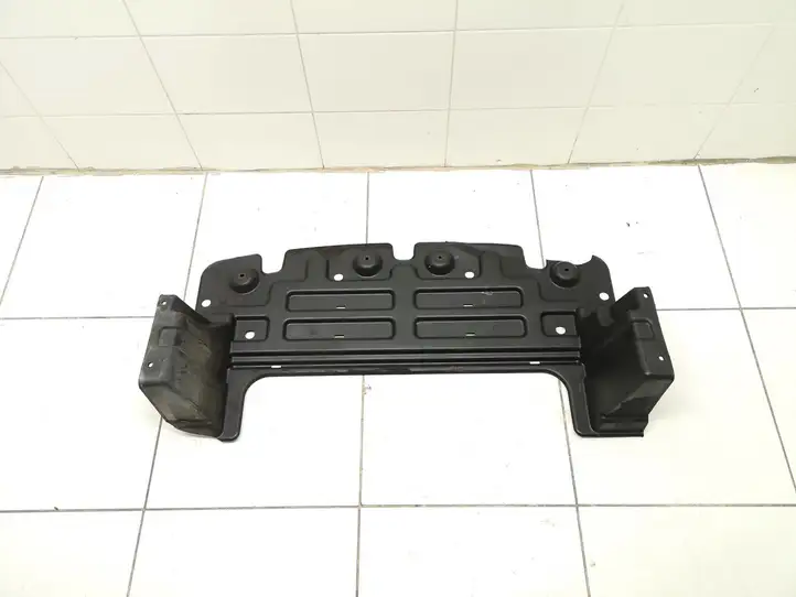 Hyundai H-1, Starex, Satellite (2007 - 2013) 291204H000 Защита двигателя — фото 1