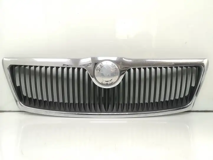 Skoda Octavia Mk2 (1Z) (2004 - 2013) 1Z0853668 Передняя решетка — фото 1