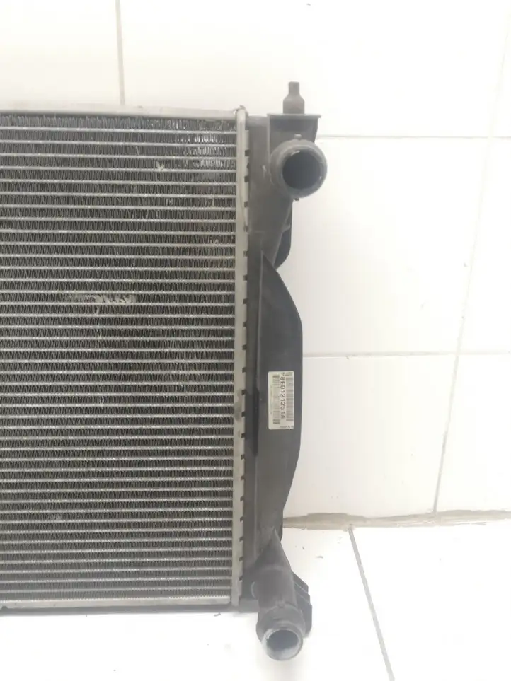 Audi A4 S4 B6 8E 8H (2000 - 2006) 8E0121251A Радиатор охлаждающей жидкости двигателя — фото 2