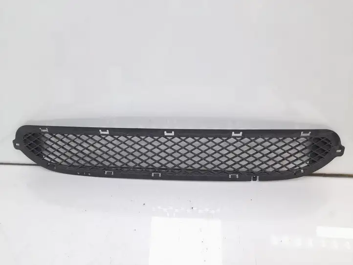 Mini One Cooper R50-53 (2000 - 2012) Нижняя решетка переднего бампера — фото 1