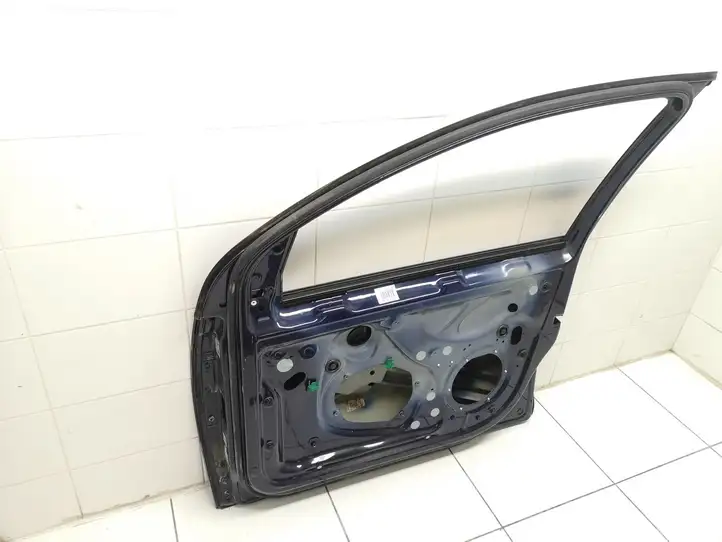 Volkswagen Golf V (2003 - 2009) Дверь — фото 6