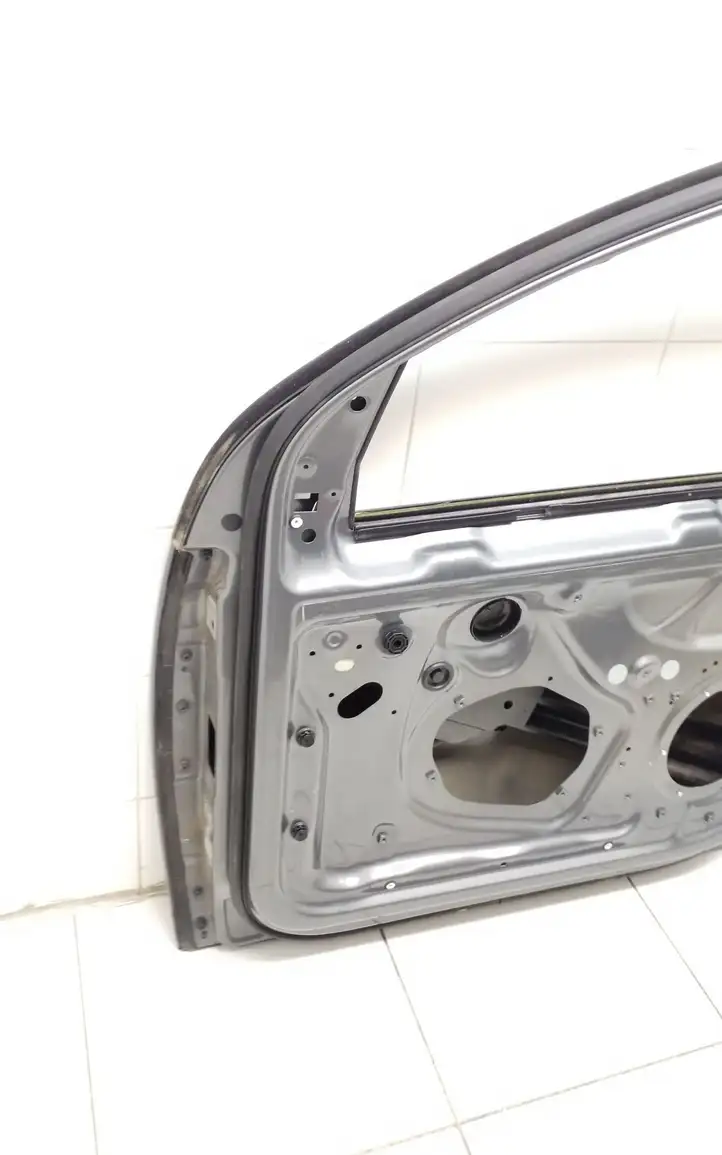 Volkswagen Golf V (2003 - 2009) Дверь — фото 3
