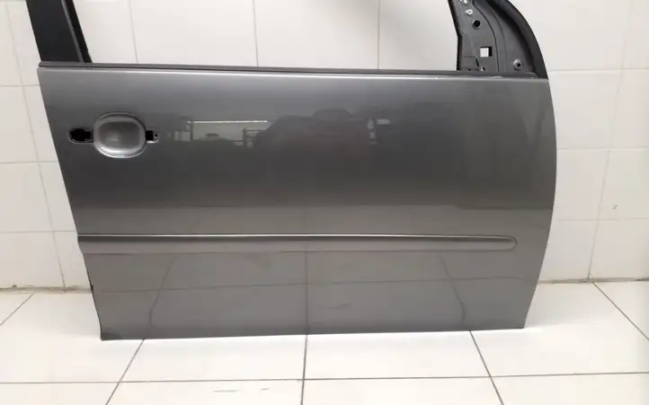 Volkswagen Golf V (2003 - 2009) Дверь — фото 5