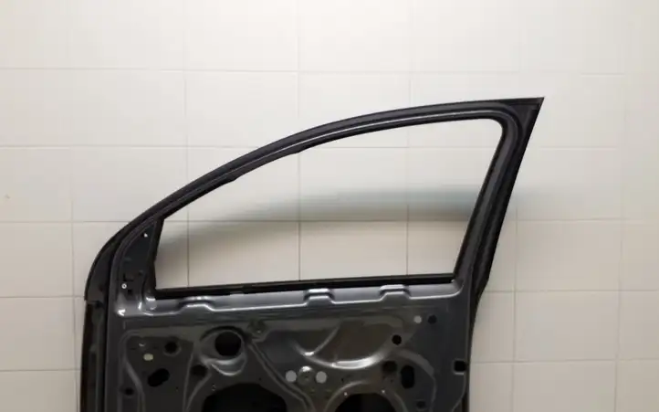 Volkswagen Golf V (2003 - 2009) Дверь — фото 10