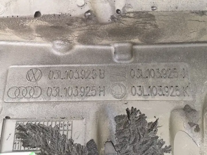 Skoda Octavia Mk2 (1Z) (2004 - 2013) 03L103925B Крышка двигателя декоративная — фото 3