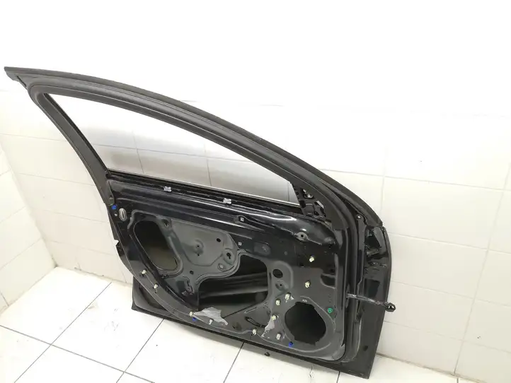 Opel Insignia A (2008 - 2017) Дверь — фото 13