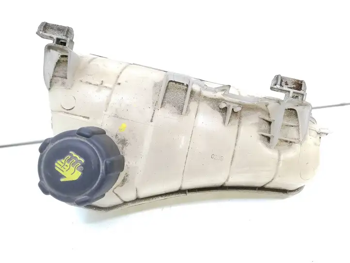 Renault Kangoo II (2008 - 2014) 8200455786 Расширительный бачок — фото 3