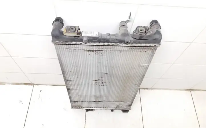 Skoda Roomster (5J) (2010 - 2015) 6Q0121253Q Радиатор охлаждающей жидкости двигателя — фото 3