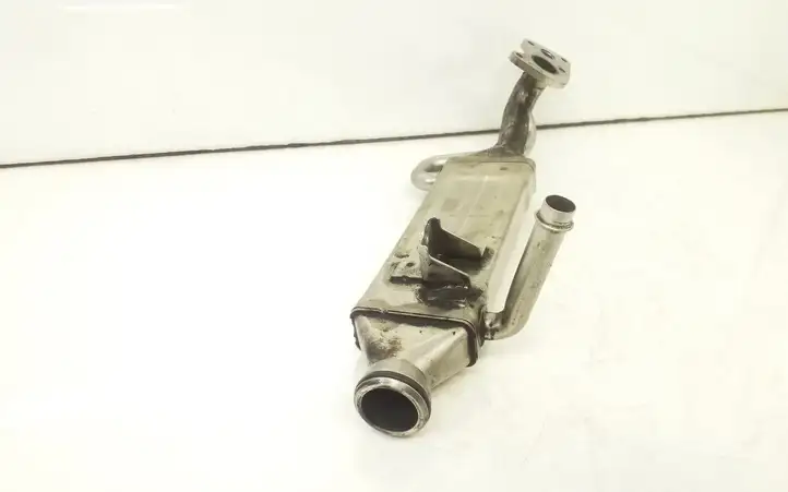 Mercedes-Benz E W211 (2002 - 2009) 16421400975 Охладитель клапана EGR — фото 2