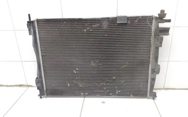 Nissan Qashqai (2006 - 2010) 21410JD50B Радиатор охлаждающей жидкости двигателя — фото 2
