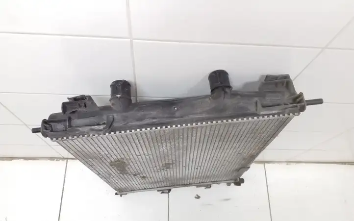 Nissan Qashqai (2006 - 2010) 21410JD50B Радиатор охлаждающей жидкости двигателя — фото 3
