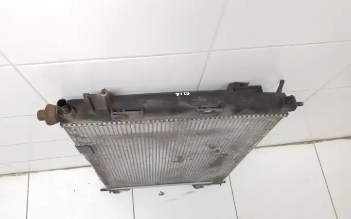 Nissan Qashqai (2006 - 2010) 21410JD50B Радиатор охлаждающей жидкости двигателя — фото 4