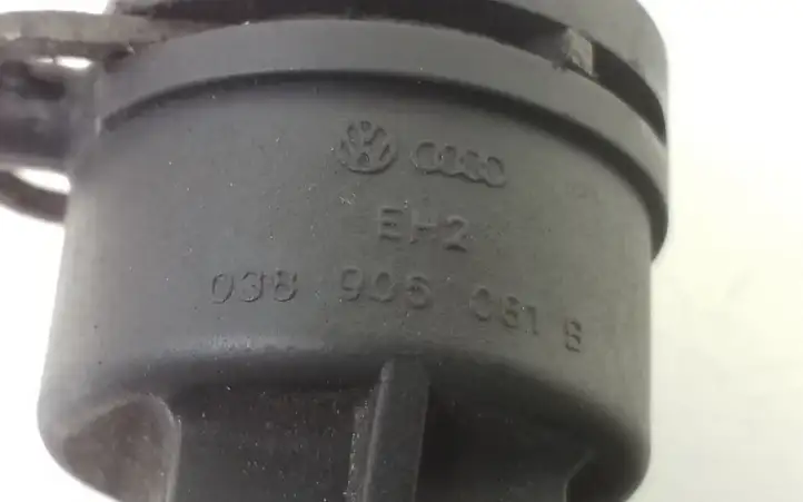 Audi A3/S3 8P (2004 - 2008) 038906081B Трубка топливной системы — фото 6