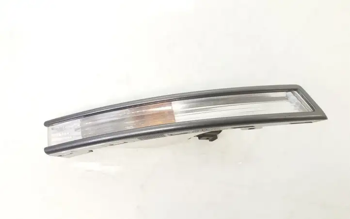 Volkswagen PASSAT B6 (2005 - 2010) 3C0807718C Повторитель поворота в переднем бампере — фото 1