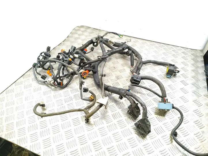 Nissan Juke I F15 (2010 - 2018) 240111KB0B Проводка двигателя — фото 1