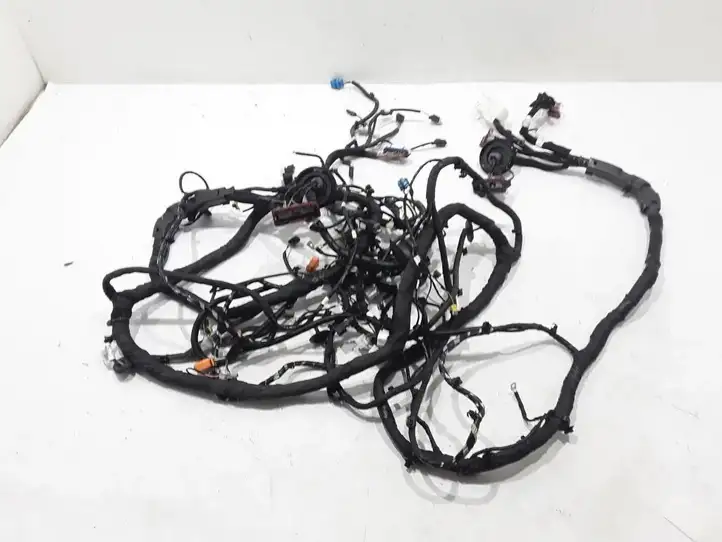 Renault Megane E-Tech (2022 - )  240102110R Другой проводник