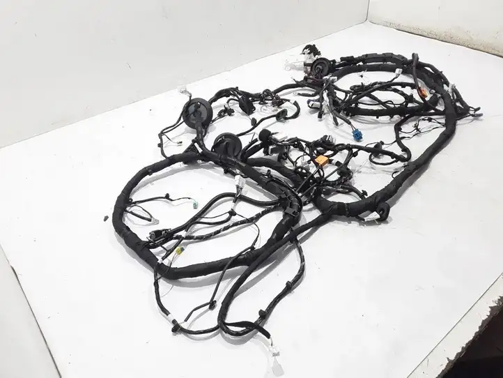 Renault Megane E-Tech (2022 - )  240102110R Другой проводник