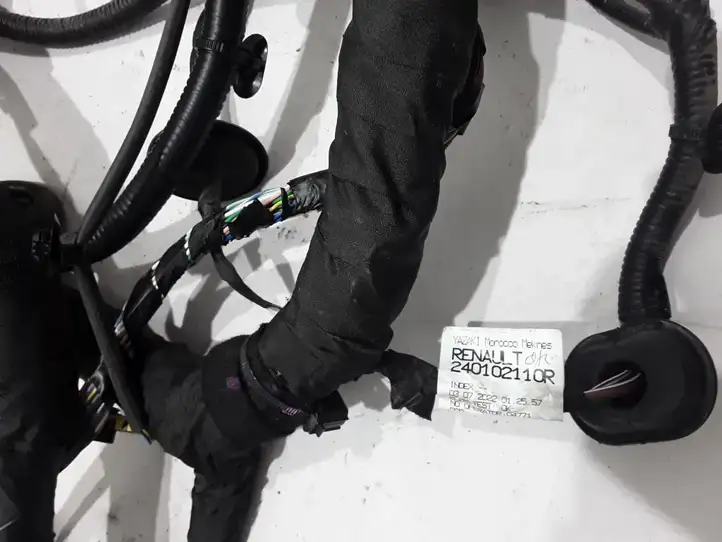 Renault Megane E-Tech (2022 - )  240102110R Другой проводник