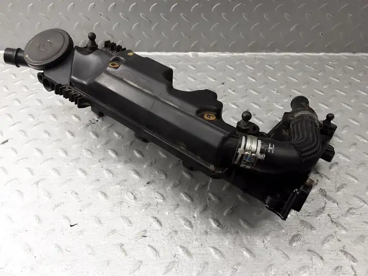 Mitsubishi Outlander (2007 - 2012) 9678419980 Крышка головки блока цилиндров — фото 4