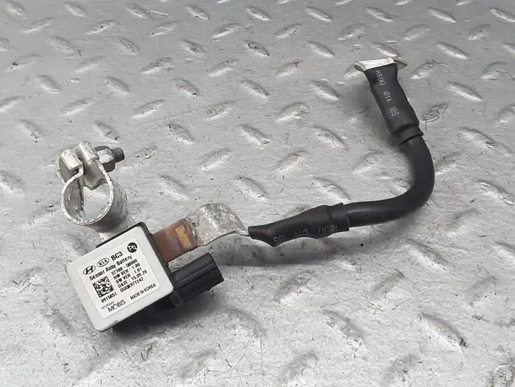Hyundai i20 (BC3 BI3) (2020 - ) 37180Q0000 Минусовой провод аккумулятора — фото 1