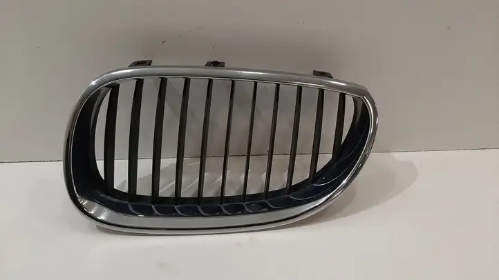 BMW 5 E60 E61 (2004 - 2010) 7065701 Верхняя решетка радиатора — фото 1