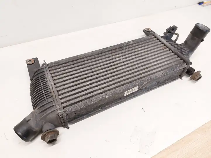 Nissan Pathfinder R51 (2005 - 2012) 14461EB360 Интеркулер — фото 1
