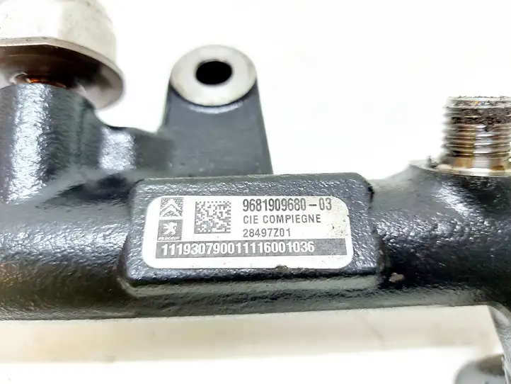 Ford Focus Grand C-MAX (2010 - 2019) 968190968003 Магистральная топливная трубка — фото 4
